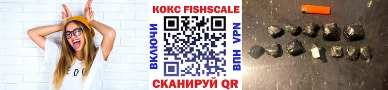 Кокаин FishScale  купить наркотик  Горячеводский 