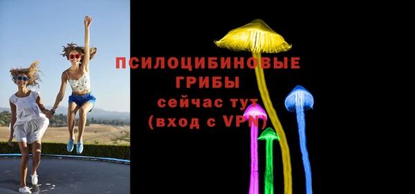 мдпв Беломорск