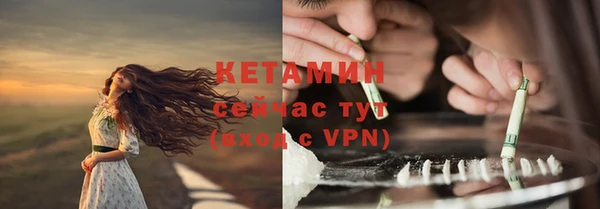прущие грибы Россошь