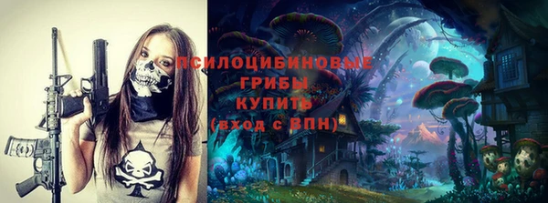 гидропоника Белокуриха